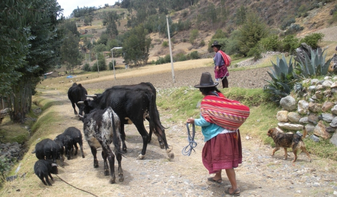 Comunitat d'Huapra, als Andes Peruans (Font: Lluís Miquel Pla) Font: 