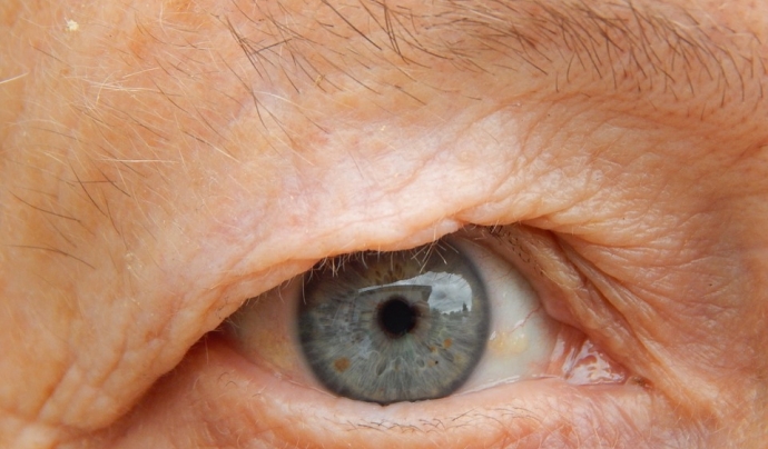 L'ull d'una àvia, que al projecte representa la mirada d'aquest col·lectiu Font: 