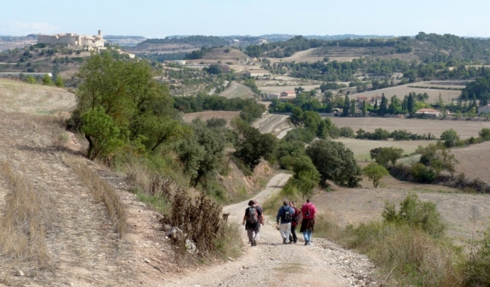 Imatge d'una ruta per la Segarra Font: Fem Camí