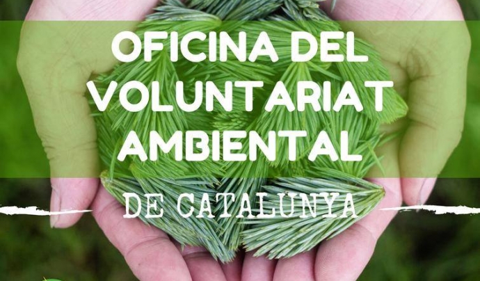 El portal voluntariatambiental.cat dedicat a les persones interessades al voluntariat ambiental (imatge: xvac.cat) Font: 