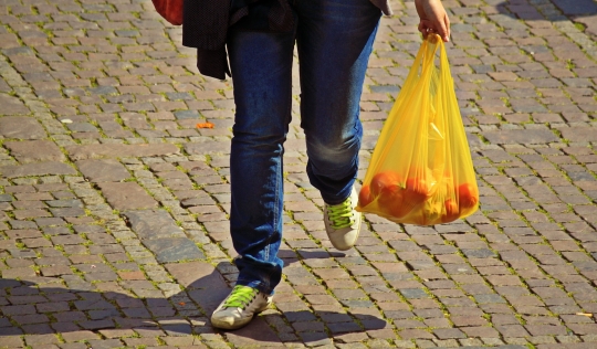 Una persona transporta la compra en una bossa de plàstic. Font: Pixabay