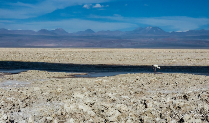 Salar d'Atacama. Font: pacheco.campos (CC BY-SA 2.0)