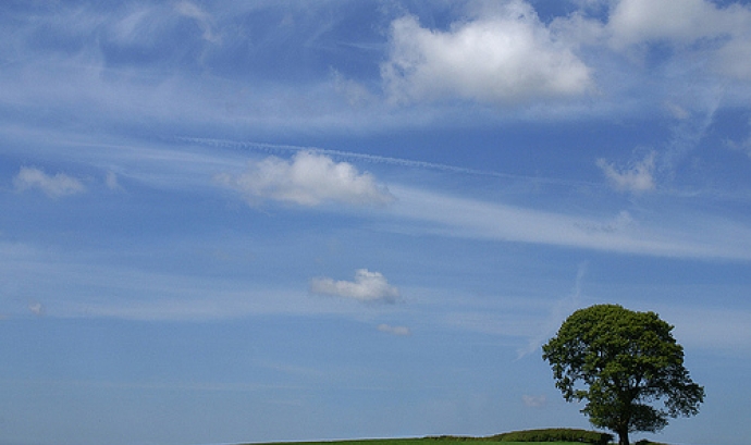 Paisatge amb arbre al fons. Font: freefotouk (Flickr)