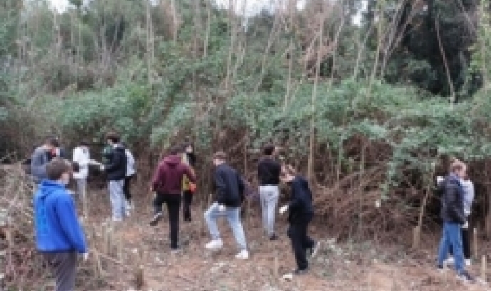 Grup de voluntàries en una activitat de restauració ecològica del bosc de Torrebonica, a Terrassa. Font: Associació per la Defensa i l'Estudi de la Natura (ADENC) 