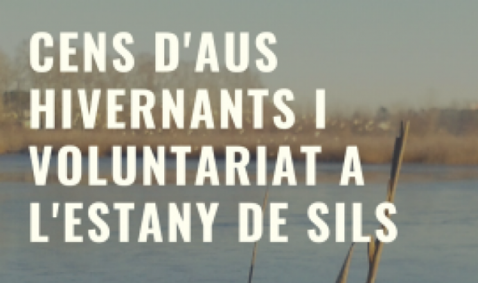 Fragment del cartell oficial de la jornada de voluntariat a l'Estany de Sils. Font: Fundació Emys