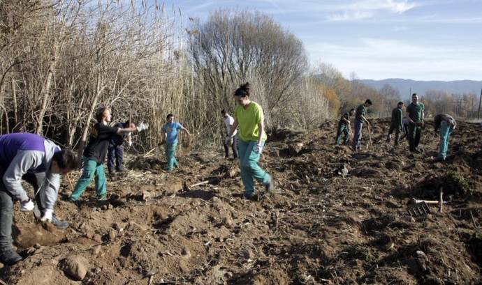 Voluntariat Ambiental amb l'Associació Cen (imatge: assoc-cen.org)