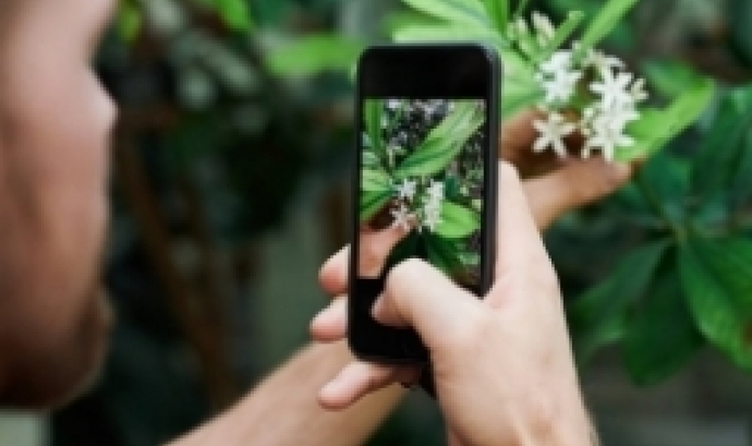 Persona fent una fotografia a una flor, per il·lustrar la Segona Biomarató de la Flora de Santa Coloma de Farners. Font: Llicència CC Pexels