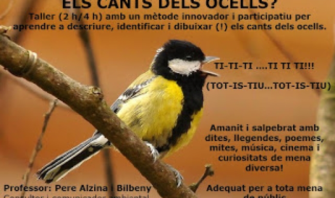 Curs de cant d'Ocells organitzat per ICO amb Pere Alzina (imatge: ornitologia.org)