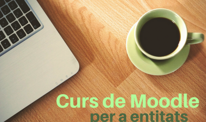 Curs de Moodle per a entitats: Font: Plana web del Teb