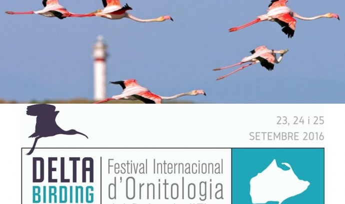 Del 23 al 25 de setembre es celebra el Delta Birding Festival al Delta de l'Ebre (imatge: deltabirdingfestival)