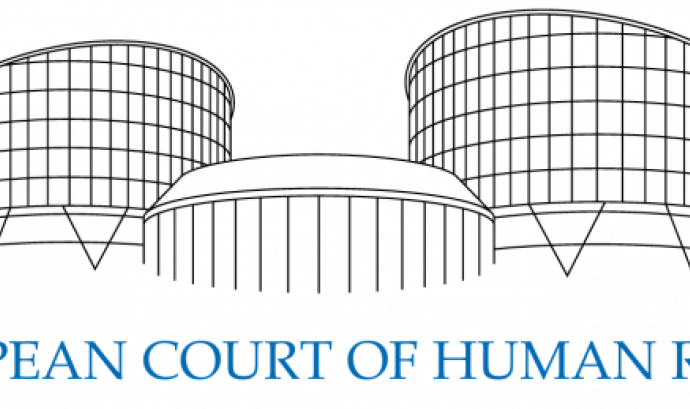 Cort Europea de Drets Humans. Font: demandasinternacionales.com