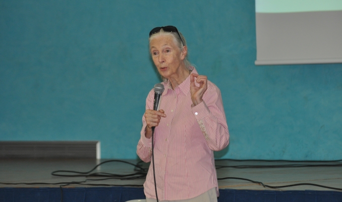Jane Goodall. Font: Fundesplai Font: 