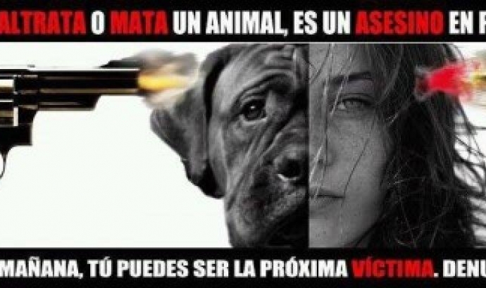 Encontres Animal: Violència contra els animals i violència interpersonal
