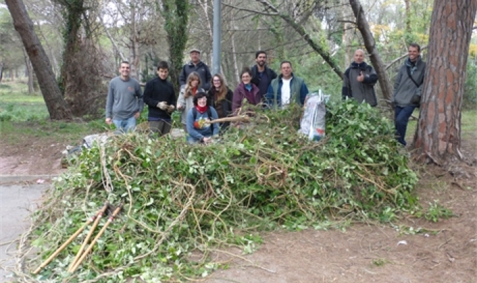 Els voluntaris ambientals en una jornada d'extracció d'espècies invasores al Delta del LLobregat (imatge:sosdeltallobregat.org)