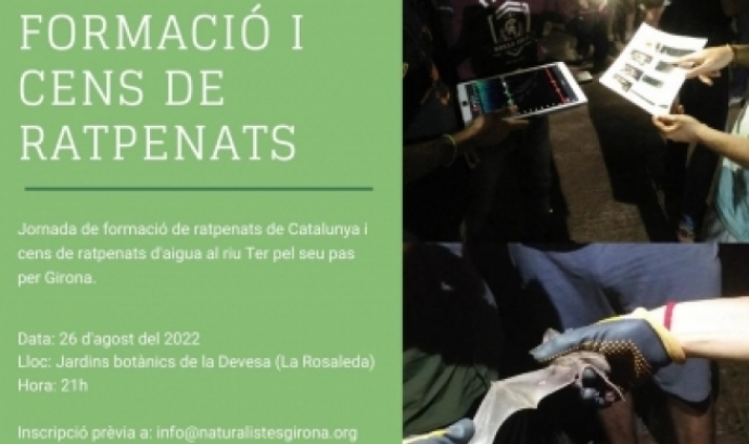 Cartell de la convocatòria de la formació i cens de ratpenats. Font: Associació Naturalistes Girona.
