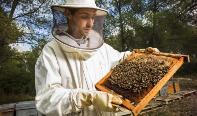 Un apicultor mostrant la seva feina, com a representació de la Festa Arrels. Font: Revista Arrels.
