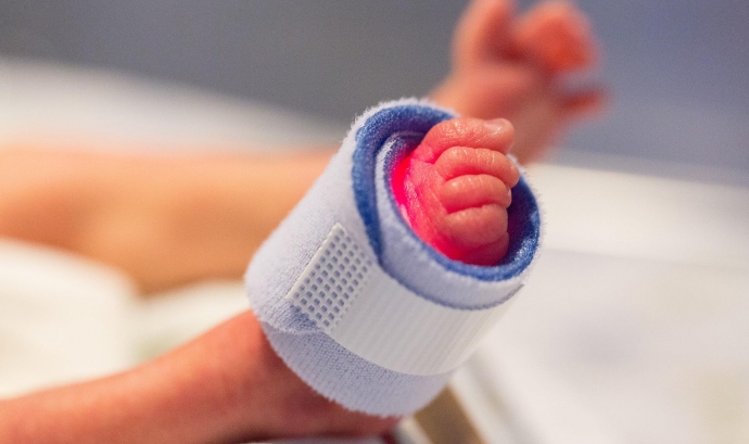 Un nadó acabat de néixer. Font: Sepp (Pixabay)