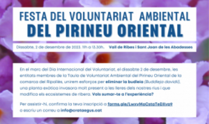 Fragment del cartell oficial de la Festa del Voluntariat Ambiental del Pirineu Oriental. Font: Associació Crataegus