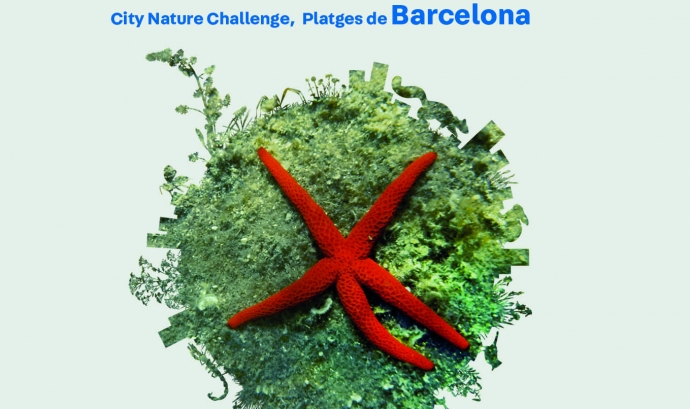 Sessió informativa per a la Biomarató marina a les platges de Barcelona