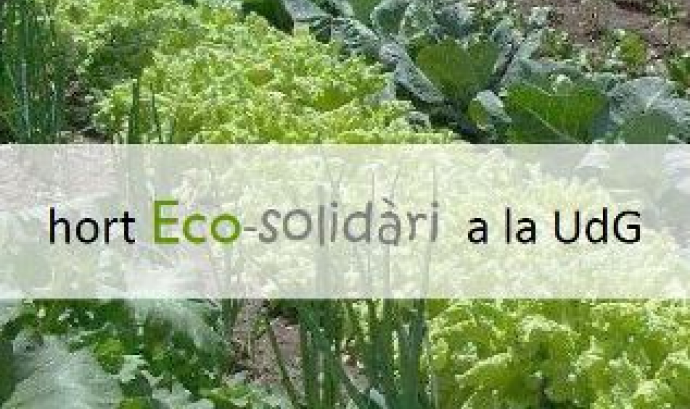 Cartell de l'Hort Eco-Solidari de la UdG (Font: Oficina de Cooperació)