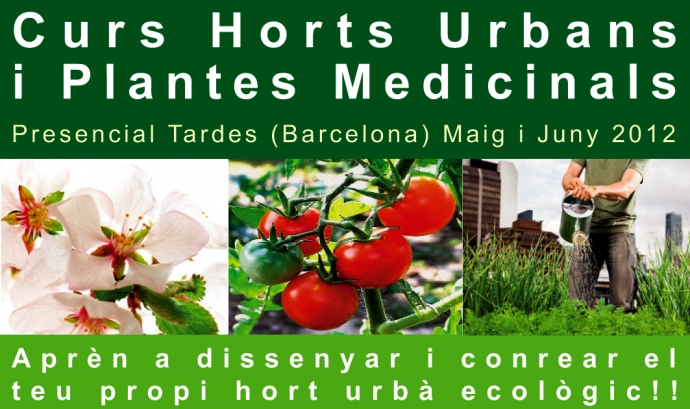 Curs d'horts urbans i plantes medicinals