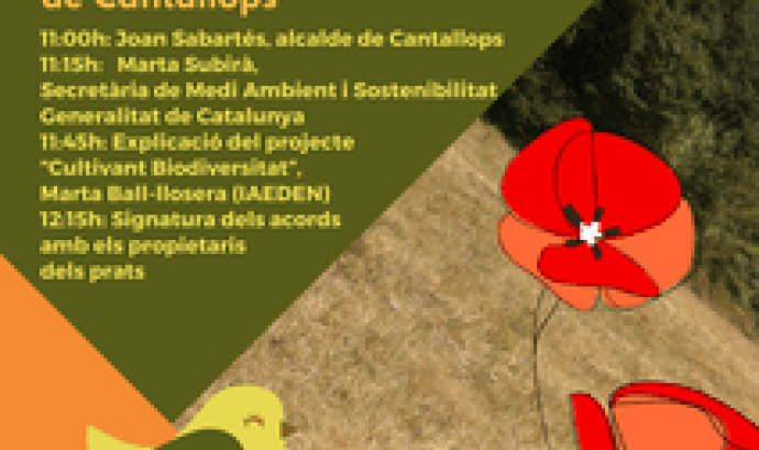 Presentantació del projecte "Cultivant la Biodiversitat" a Cantallops (imatge. iaeden.cat)