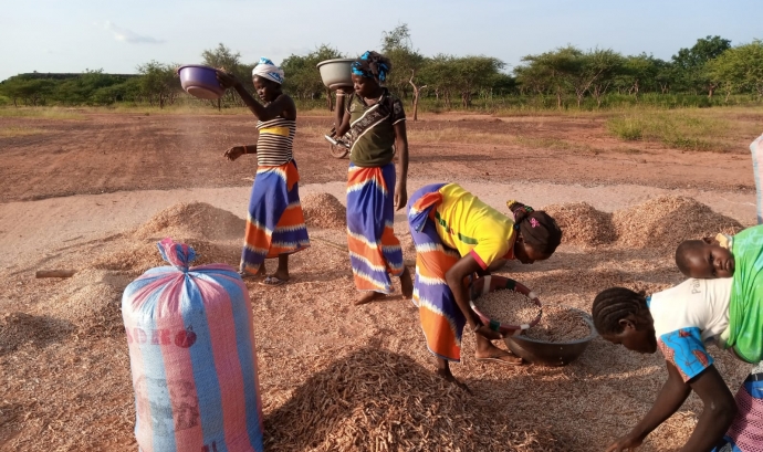 L’entitat gavanenca té en marxa una campanya de micromecenatge per assegurar la sostenibilitat alimentària i econòmica de mig centenar de famílies. Font: Mujeres Burkina