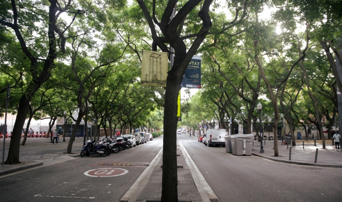 Avinguda Drassanes de Barcelona a l'altura de la Sala Baluard. Font: Carla Fajardo Martín
