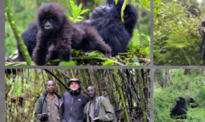 Conferència: "Goril·les de muntanya mig segle després de Dian Fossey"