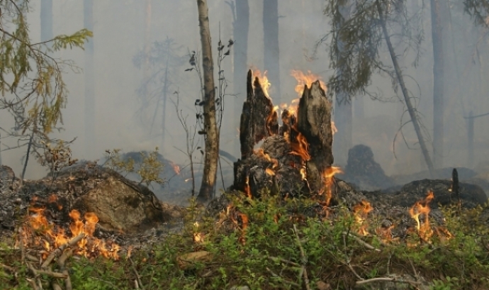 Bosc incendiant-se en representació de la jornada tècnica de mesures d'autoprotecció cap a incendis. Font: Llicència CC Pixabay