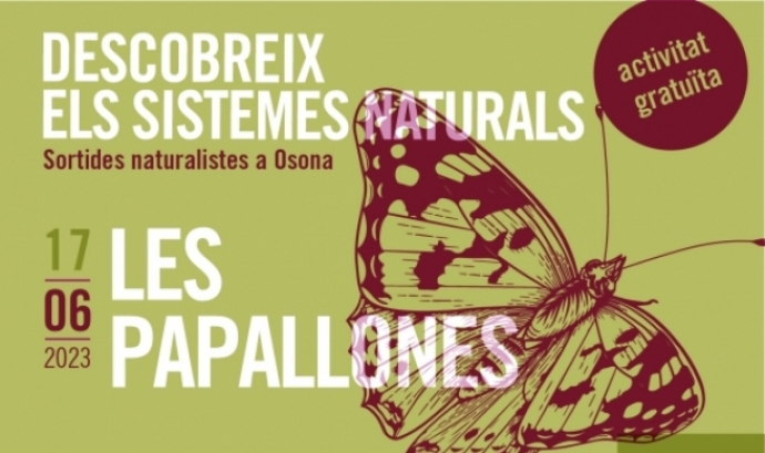 Cartell oficial de la sortida naturalista per descobrir les papallones diürnes a Osona. Font: Grup de Naturalistes d’Osona