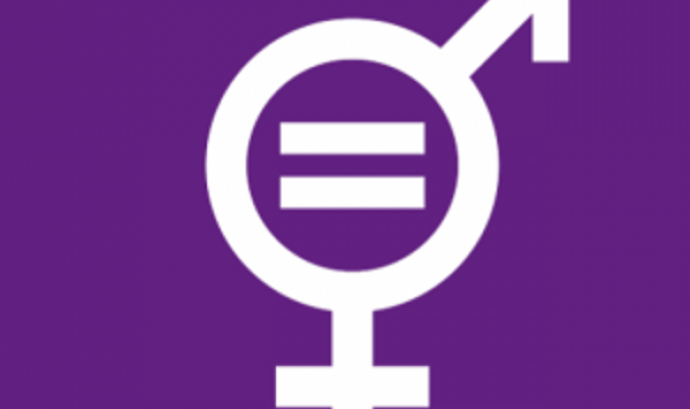 Curs 'Transversalitzant el Gènere. Projectes, organitzacions i pressupostos'. Font: Enginyeria sense Fronteres