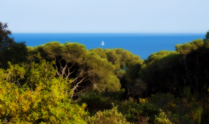 Mar Mediterrània_Queralt jqmj_Flickr