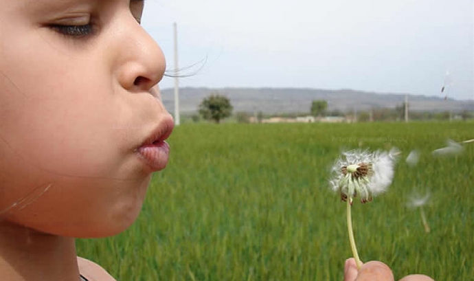 Nena bufant una flor. Font: UJMi (Flickr)
