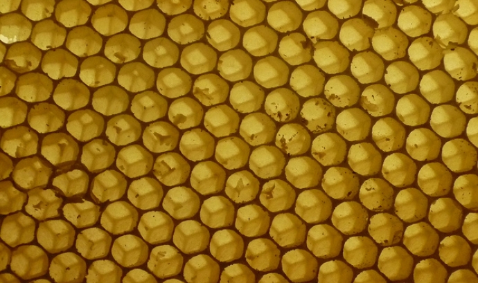 Panal d'abelles. Participació interna. Font: cruz_fr (Flickr)