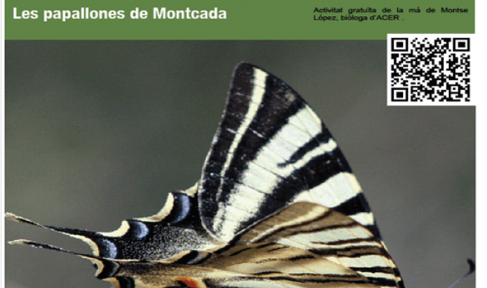 Les papallones de Montcada, amb Acer Associació (imatge:Acer Associació)