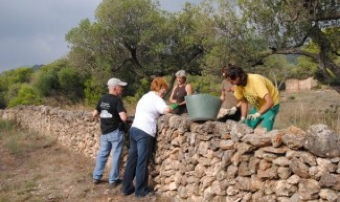 Voluntaris de Gepec restaurant murs de pedra seca (imatge:gepec.cat)