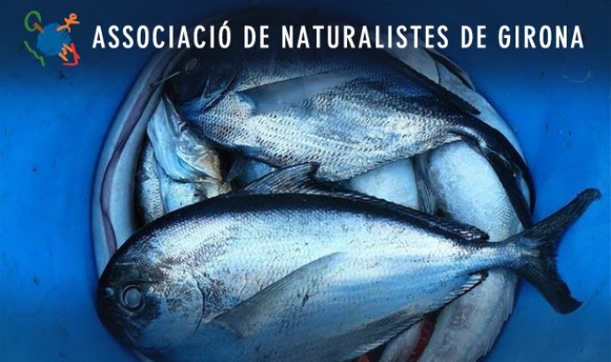 Xerrada sobre consum sostenible de peix amb els Naturalistes de Girona (imatge: naturalistesgirona.org)