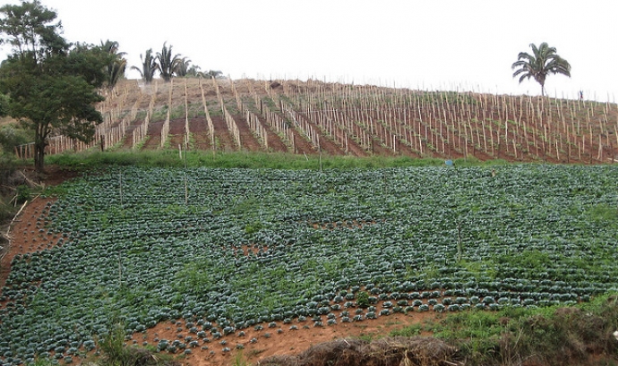 Plantació agrícola_São José do Vale do Rio Preto - RJ_Flickr