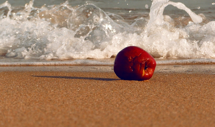 Poma arrugada davant del mar. Envelliment actiu_Cono y Bastón_Flickr