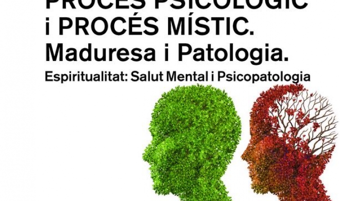 Postgrau: Procés psicològic i procés místic.