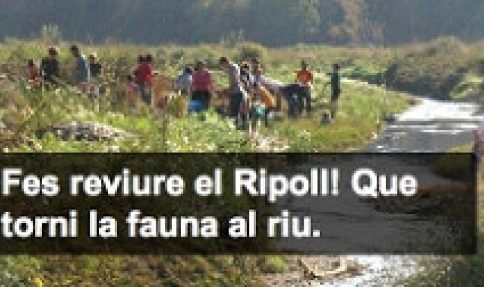 Projecte de recuperació del riu Ripoll de l'Adenc (imatge: adenc.cat)