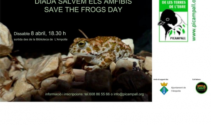 Cartell de la diada dedicada a la protecció dels amfibis de l'Associació Picampall (imatge: picampall)