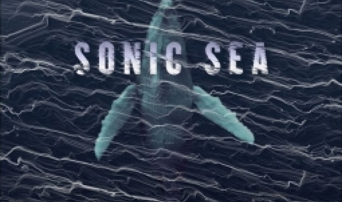Projecció de Sonic Sea a FICMA (imatge: sonicsea.org)