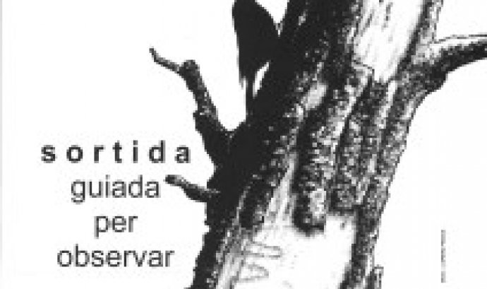Sortida ornitològica a Olot amb IAEDEN (imatge:iaeden.cat)