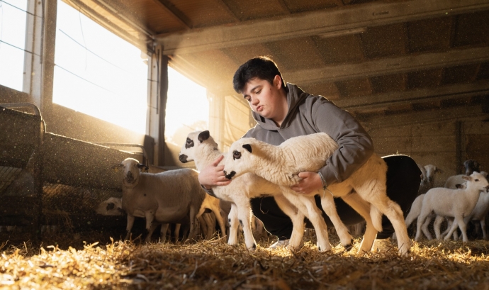 La jove ramadera Teresa Montanuy a la seva explotació d'ovelles. Font: Colectic.  Font: Colectic