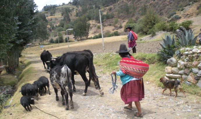Comunitat d'Huapra, als Andes Peruans (Font: Lluís Miquel Pla) Font: 