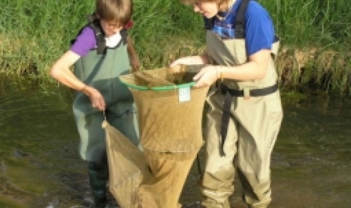 Voluntariat ambiental a les Basses de Fontajau.