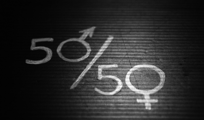 La 'Guia per a la incorporació de la perspectiva de gènere en els contractes públics' ja es pot consultar a través d'Internet. Font: Pixabay
