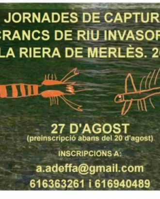 Cartell de la Jornada de Voluntariat Ambiental destinada a la captura de crancs invasors a la riera de Merlès (imatge: adeffa.cat)
